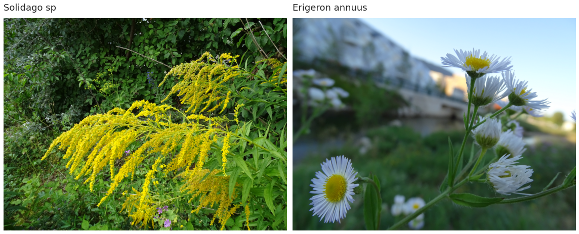 _images/surveys_47_0.png
